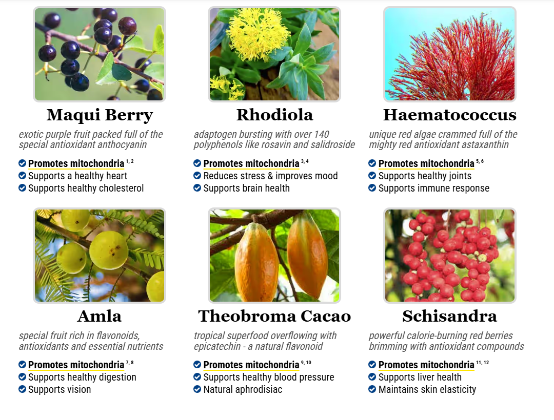 Natural ingredients in Mitolyn supplement: maqui berry, rhodiola, haematococcus, amla, cacao, schisandra